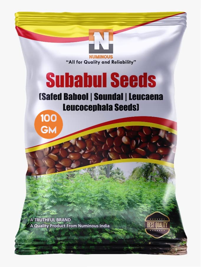 Numinous Subabul/Safed Babool/Soundal/Leucaena Leucocephala Fodder Tree Seeds (100g) (B097ZZK54B) Amazon Price History, Amazon Price Tracker