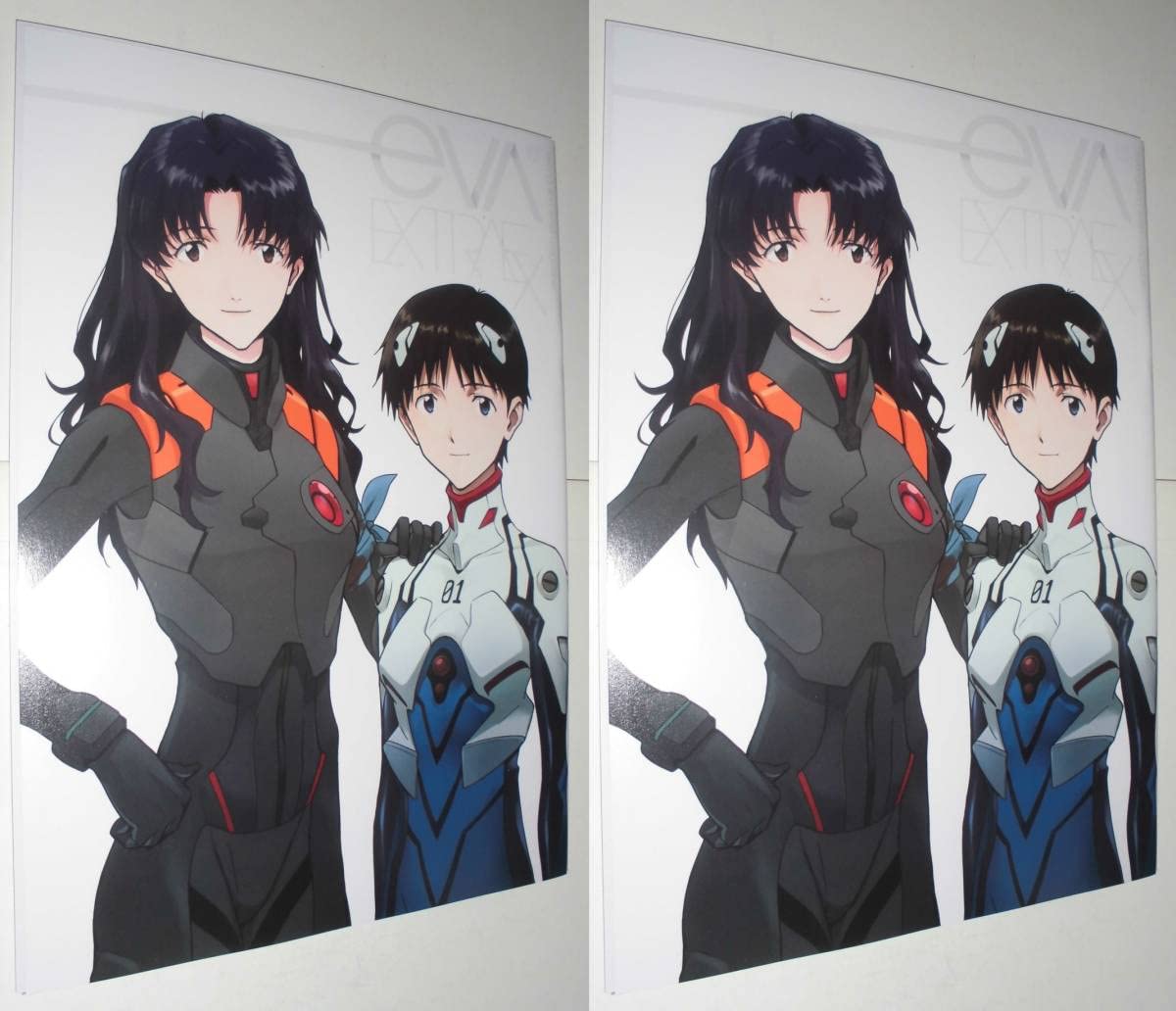 Amazon.co.jp: シンエヴァンゲリオン劇場版シンエヴァの薄い本公式謹製