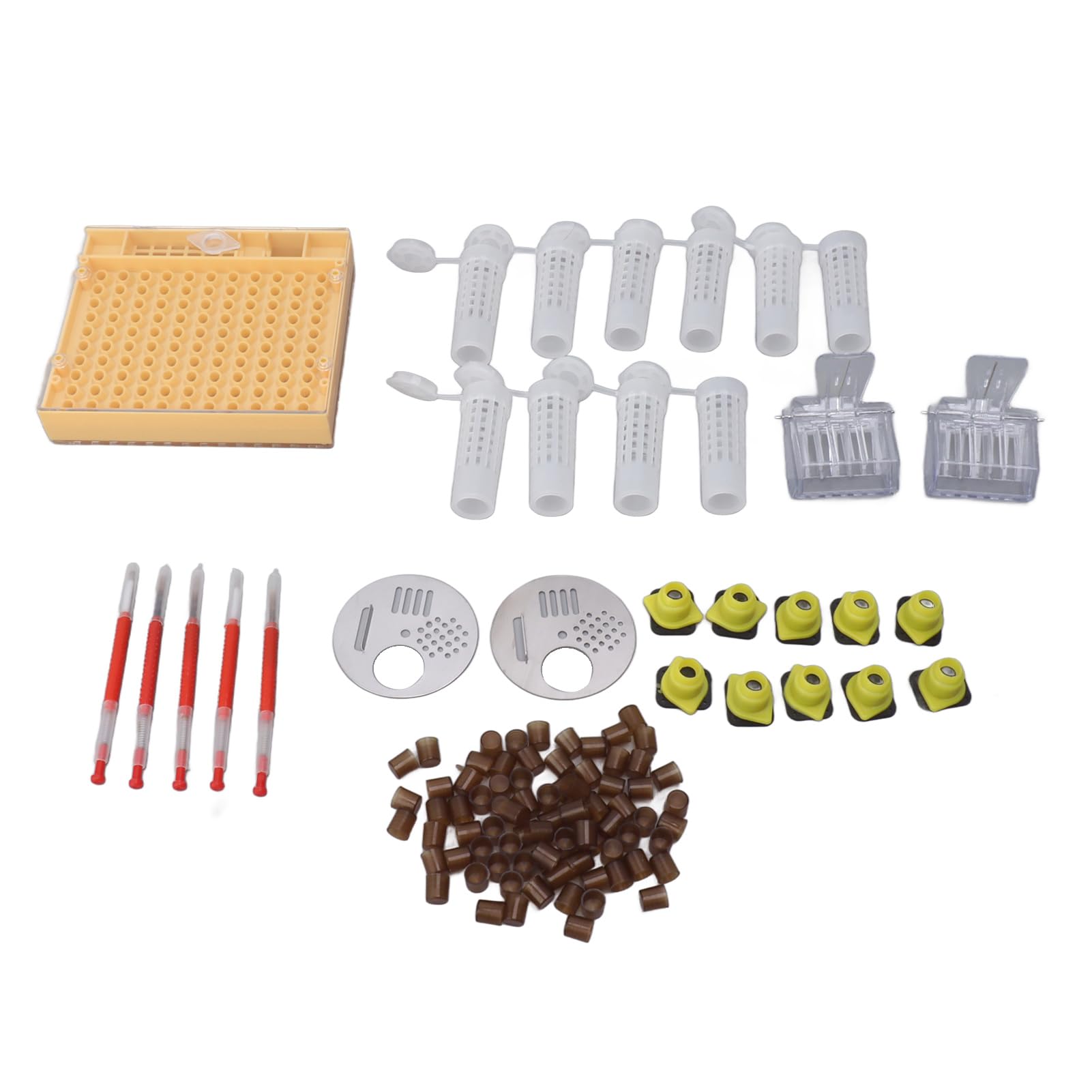 Syst¨¨me D'¨¦Leva de Reine en Plastique, Kit D'apiculture, Fournitures de Greffa de Reine pour Apiculteurs