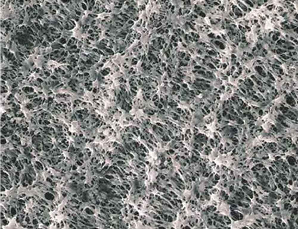 Advantec MFS H010A090C, Hydrophilic Membrane Filter, 90 mm Diameter, 35 µm Thickness, 0.10 mm, PTFE (Pack of 25)