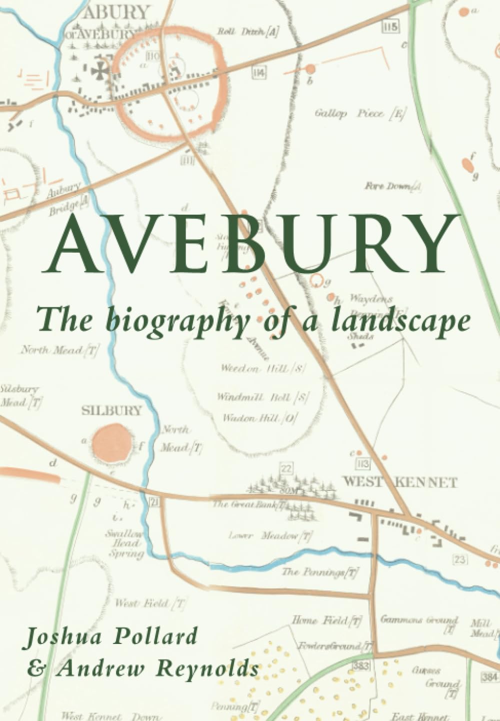 Avebury - Biography of a Landscape: The Biography of a Landscape