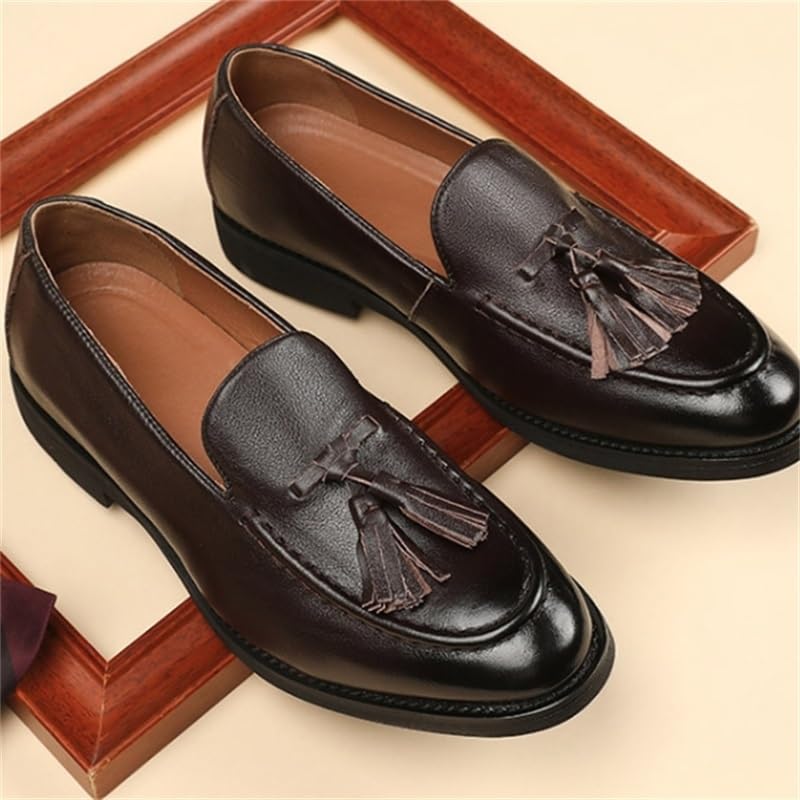 Men's Tassel Loafers Casual Business Leather Shoes Pointed Toe Slip-on Office Dress Shoes(D,10)3