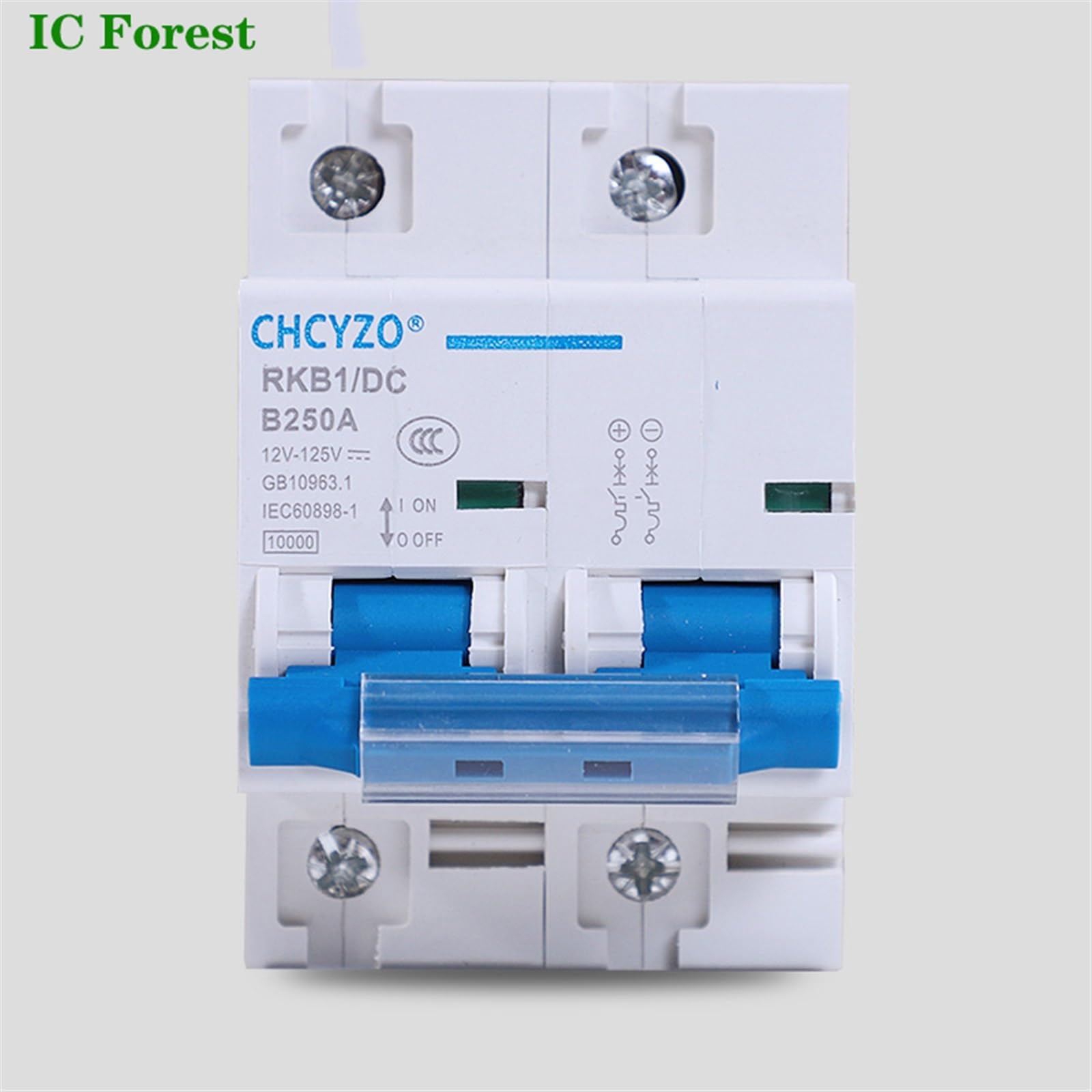DC Schalter 1P 2P 12V 24V 36V 48V 96V 120V DC Automatischer Schalter Solar Leistungsschalter Mini 80/100A 150A 200A 250A Trennschalter (2P DC120V,25A)