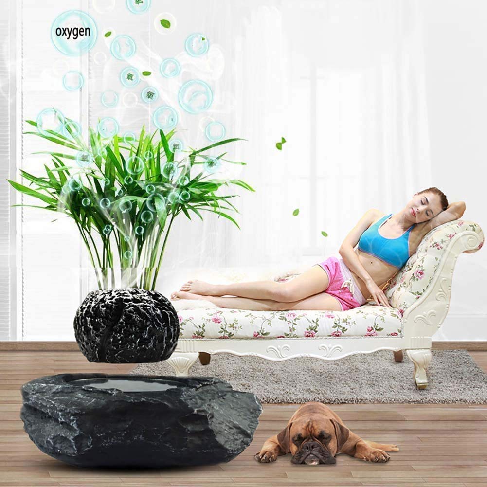 Amazon.co.jp: 磁気浮上鉢植え植物浮遊空気盆栽ツリーポット庭