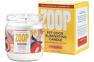 Zoop Pet Odor Eliminating Candle: Odor Eliminator for Home - Purify Your Home