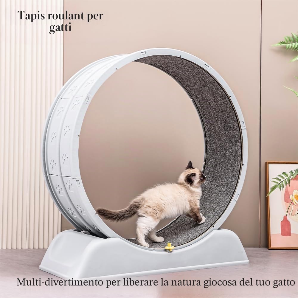 Cat Running Exercise Wheel Tapis roulant, giocattolo di addestramento per gatti ultra silenzioso con meccanismo di bloccaggio, pista con moquette rimovibile per correre e graffiare (Grigio)