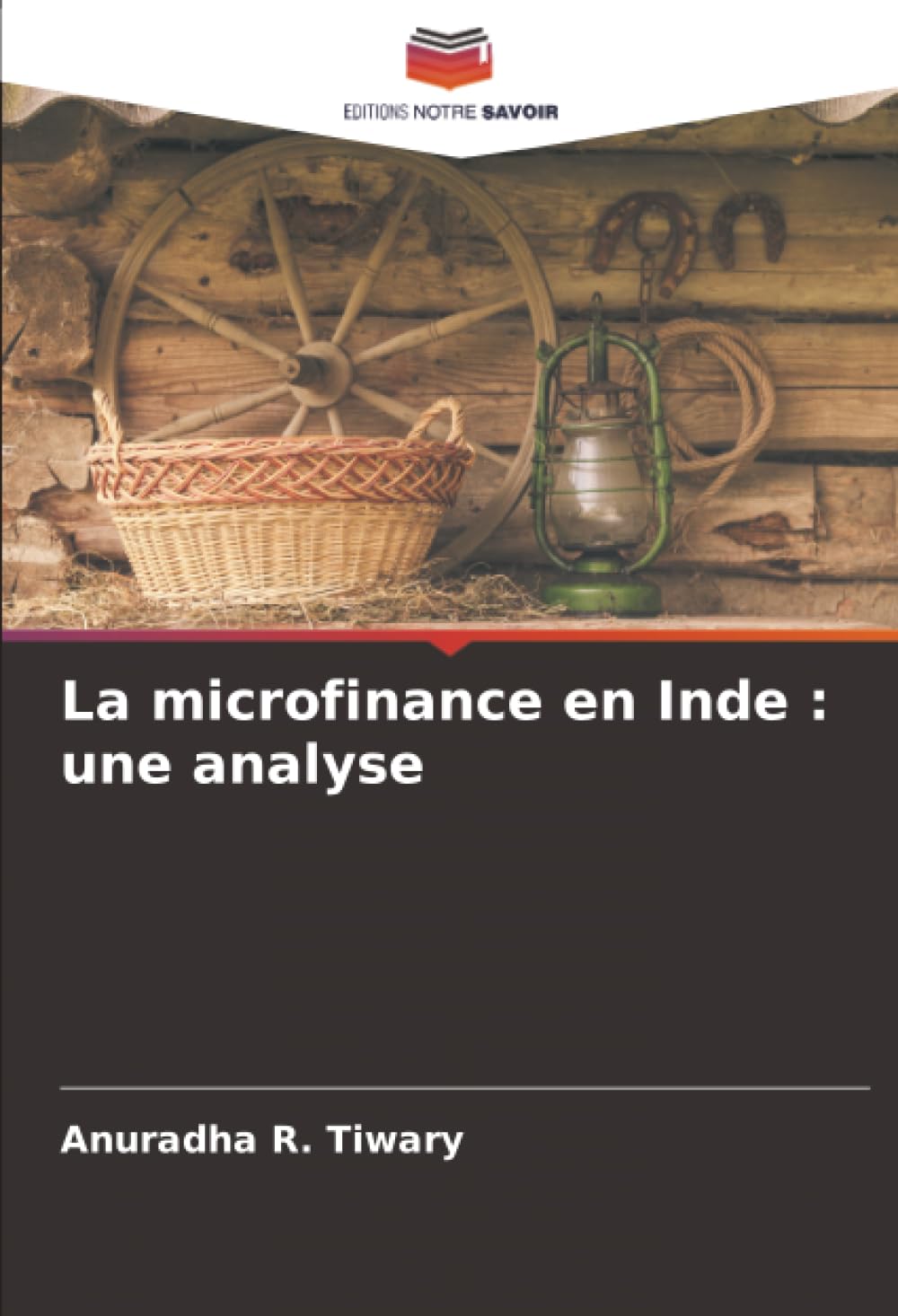 La microfinance en Inde : une analyse