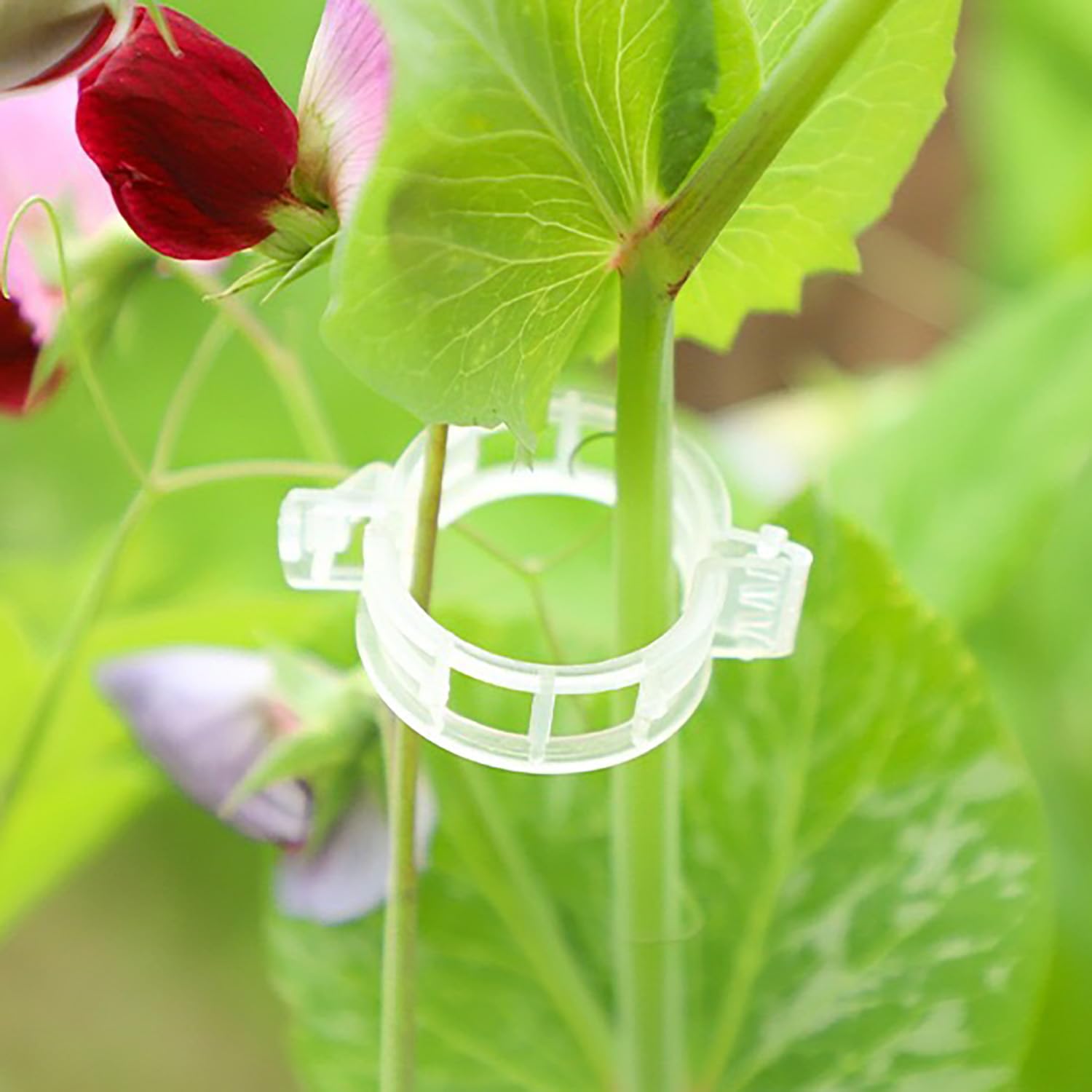 Clips de plástico reutilizables para plantas trepadoras 2025, clips de soporte de jardín suaves y seguros para tomates, vides, pepinos, uvas, verduras, clips de enrejado para interiores y exteriores