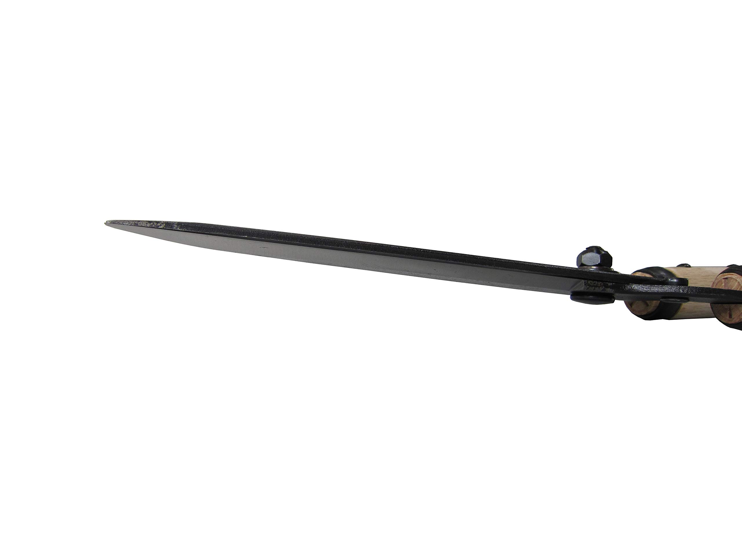 Amazon | 五十嵐刃物工業 鋼典 調質 又開刈込鋏 195mm B-24 | 刈り込み