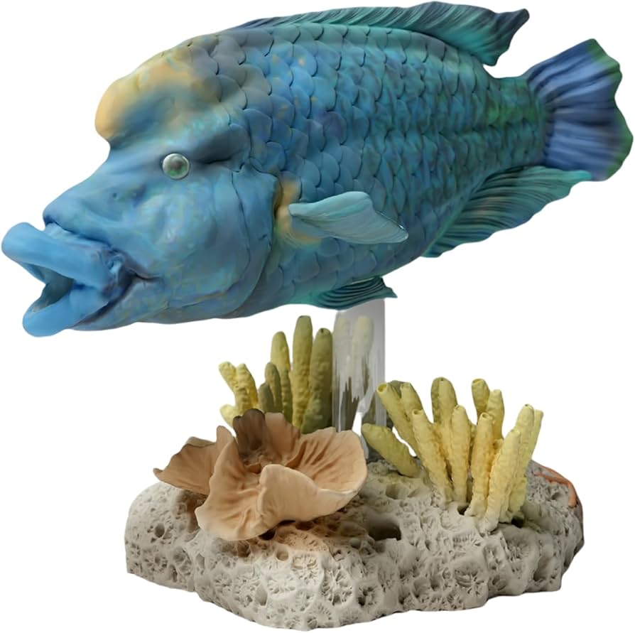 Amazon | BACALYSO | 1/35 スケール メガネモチノウオ フィギュア 7CM