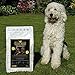 5 kg Canis Gold Adult 66% Huhn & Kartoffeln (Monoprotein) getreidefreies Trockenfutter