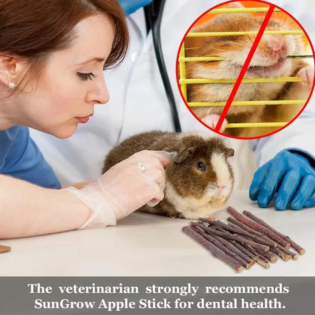 Bâtonnets de Pomme pour Animaux de Compagnie, Bâton à Mâcher De Pomme,Branche De Pomme Molaire,Petit Jouet pour Animaux De Compagnie,pour Chinchilla Cobaye Hamster Lapin