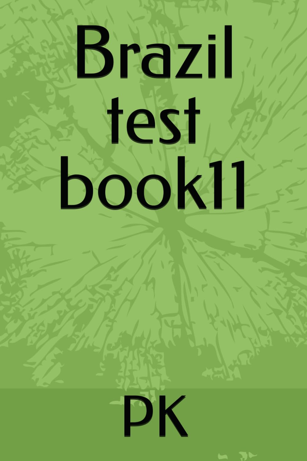 Brazil test book11