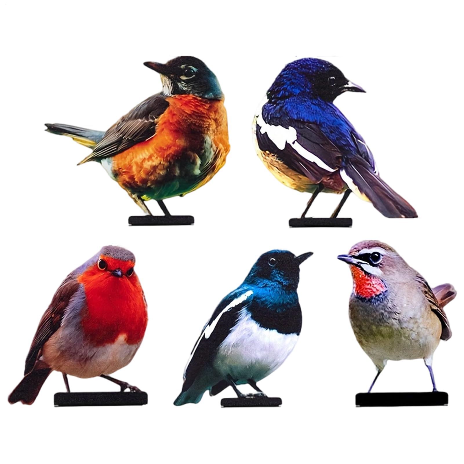 Birds For Fence Decorations, Vivid Metal Rustproof Color Painted, 5 Pieces, Outdoor Garden Craft Statue, Wall Art Ornament, Weather Resistant Finish, For Porch Courtyard Patio Yard
