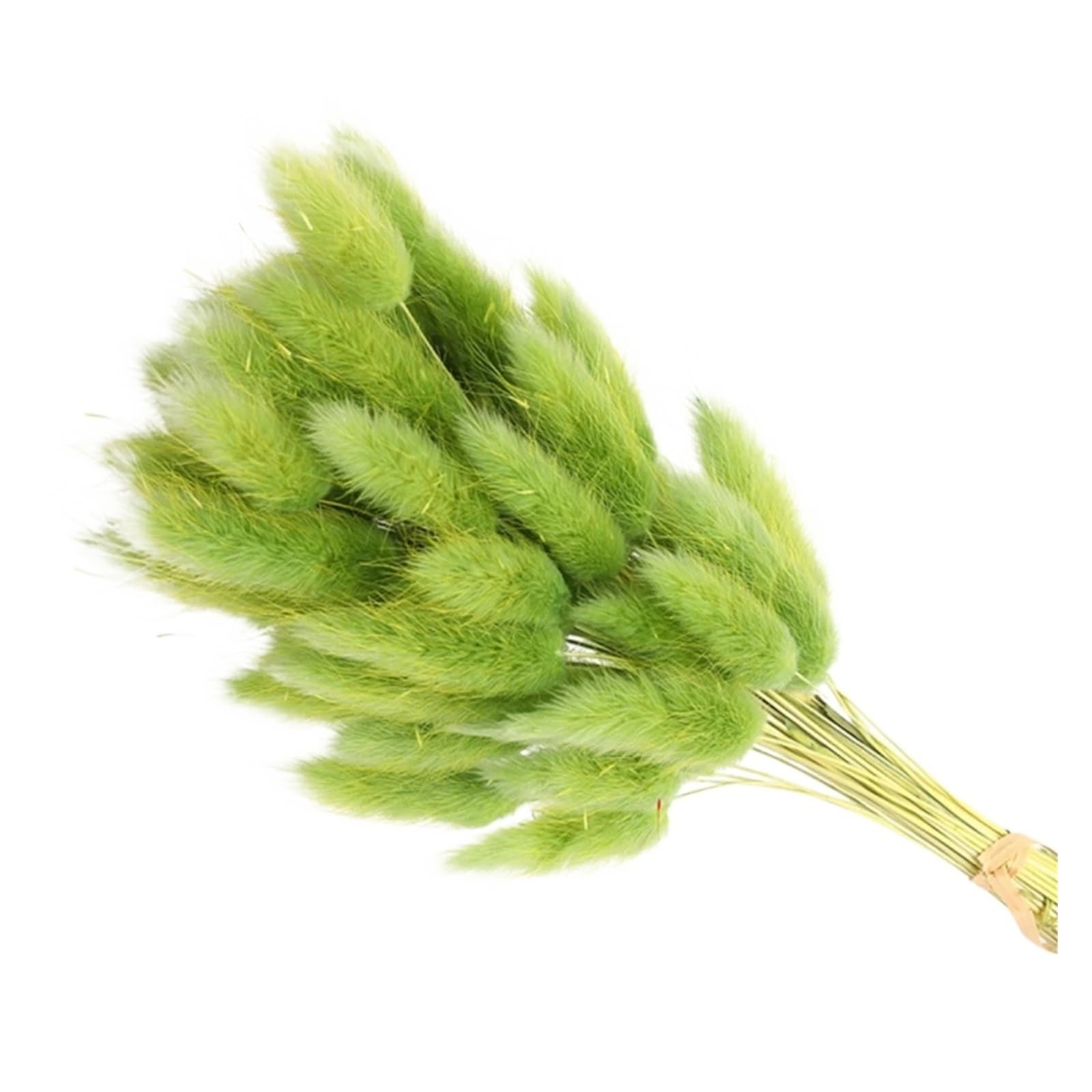 GJgfjGHK 100Pcs Natural Bunny Rabbit Tail Grass Real Dried Flower Home Decor Bouquet Colorful Lagurus Ovatus Wedding Floral Arrangement Artificial Plants Indoor(Grass Green)