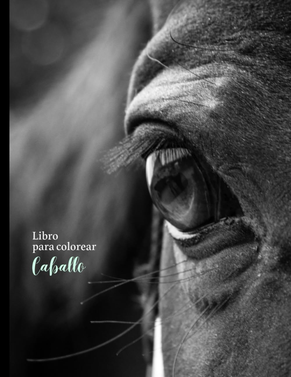 Libro para Colorear: Caballo