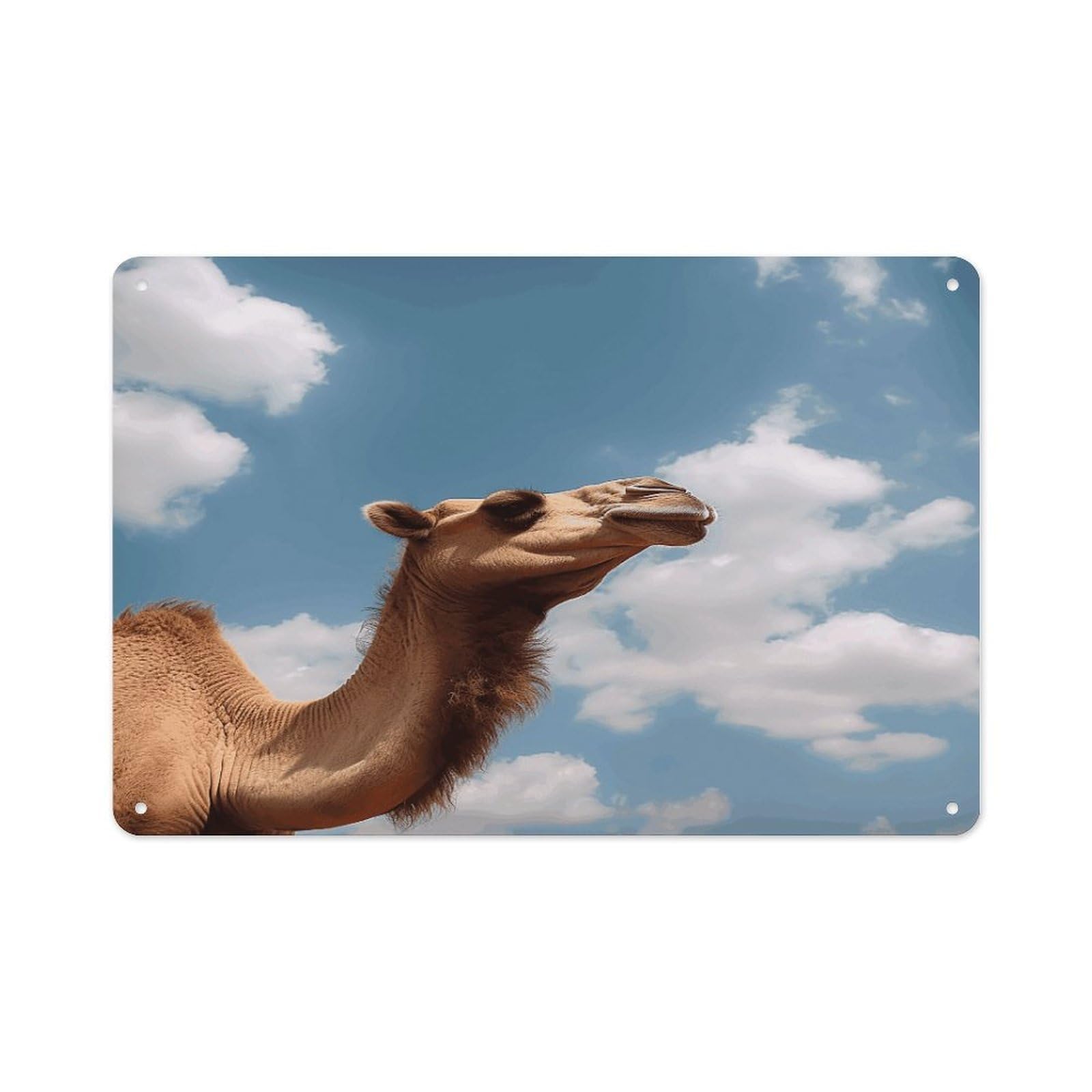 VstaDank Vintage Metal Sign Sublimation Aluminum Camel Looking Up at The Sky Plaque Sign Weatherproof Art Decorative Wall Plate Boho Aluminum Wall Hanging Decor Retro Poster Plaque 8x12in