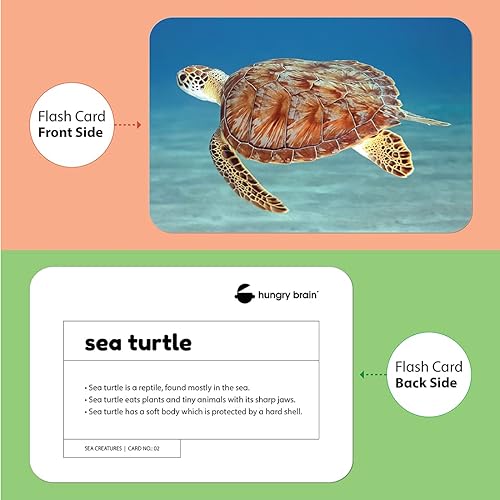 Miniatura 5 de Hungry Brain Partes del cuerpo y criaturas marinas - Tarjetas de desarrollo cerebral para bebés