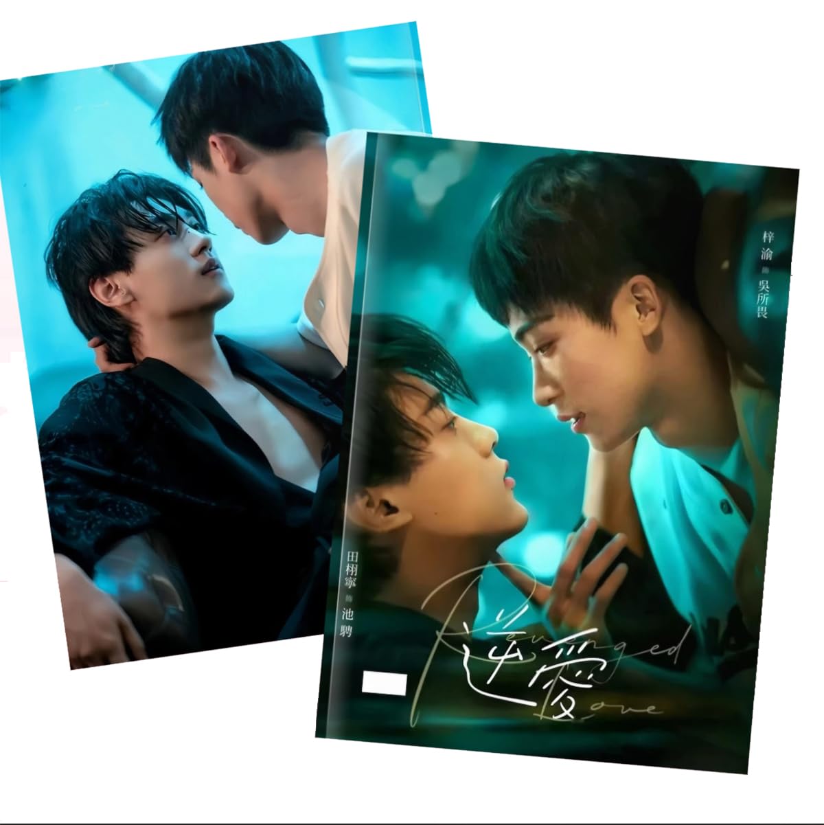 Amazon.co.jp: 写真 逆愛～Revenged Love～ 写真集 グッズ 中国BL