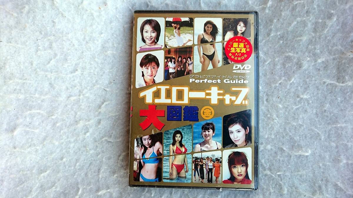 イエローキャブ大図鑑 金盤 初回限定特典 厳選生写真入り かとうれいこ 細川ふみえ 雛形あきこ 山田まりや 佐藤江梨子 小池栄子