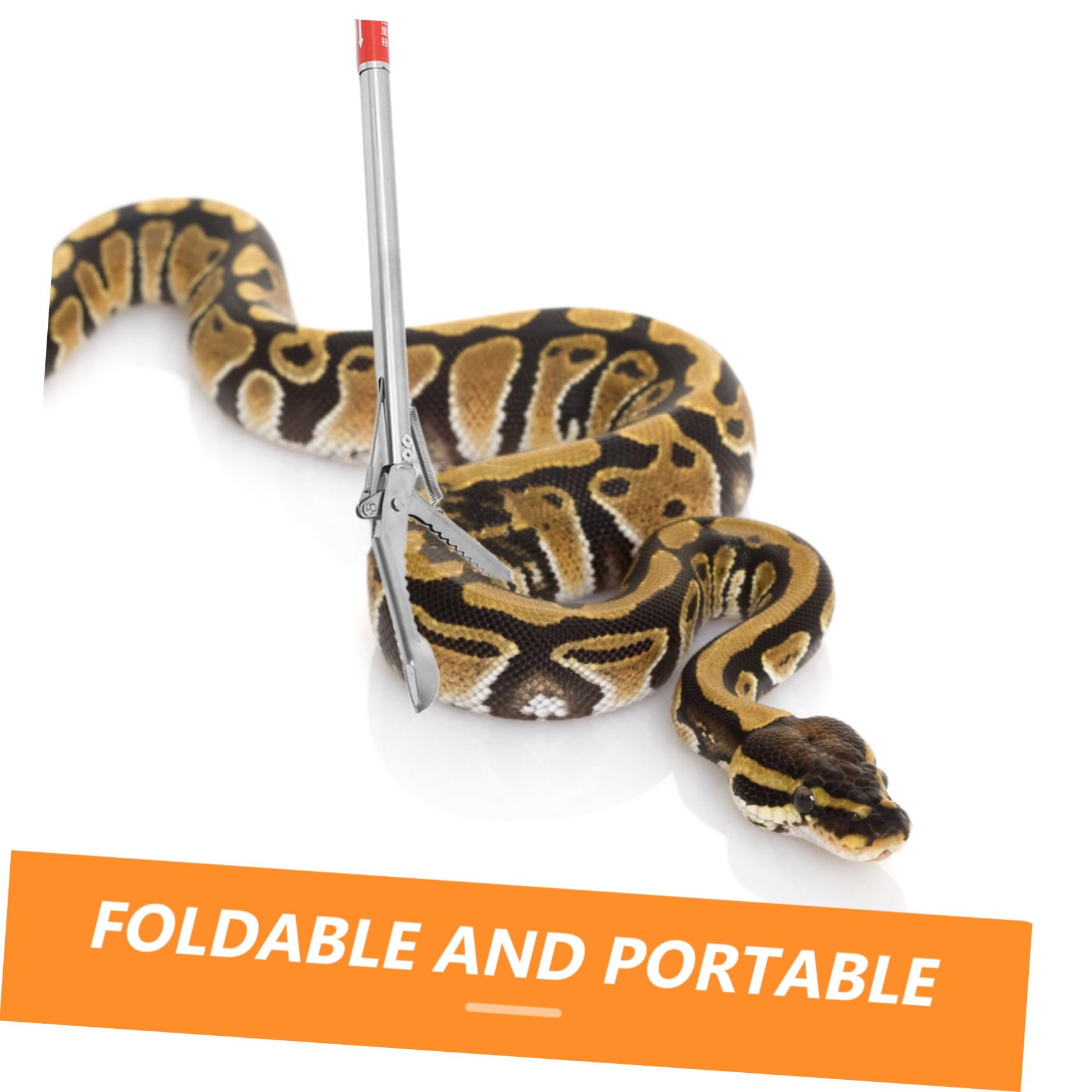 INOOMP 4piezas Pinza De Serpientes De Inoxidable Herramienta De Captura para Reptiles Plegada Agarre Seguro y Manejo Práctico para Entusiastas Vida Silvestre