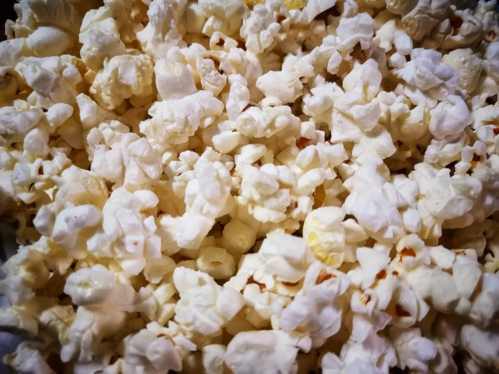 Popcornmais Premium Butterfly Mais Kinopopcorn 22,68 Kg Sack XXL 1:46 Popvolumen