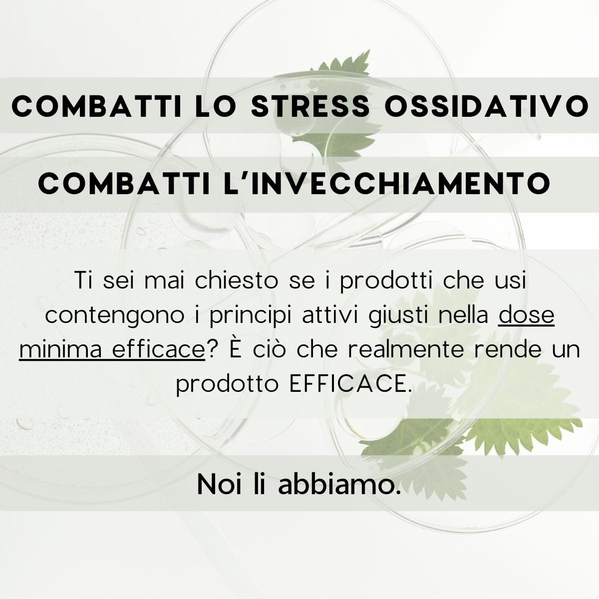 Yang, Integratore Alimentare Con Collagene Marino 5 gr e Antiossidanti, per Buon Umore, Con Polidatina, Zafferano, Melissa, Carnitina e Vit. C, 14 Bustine da 10gr