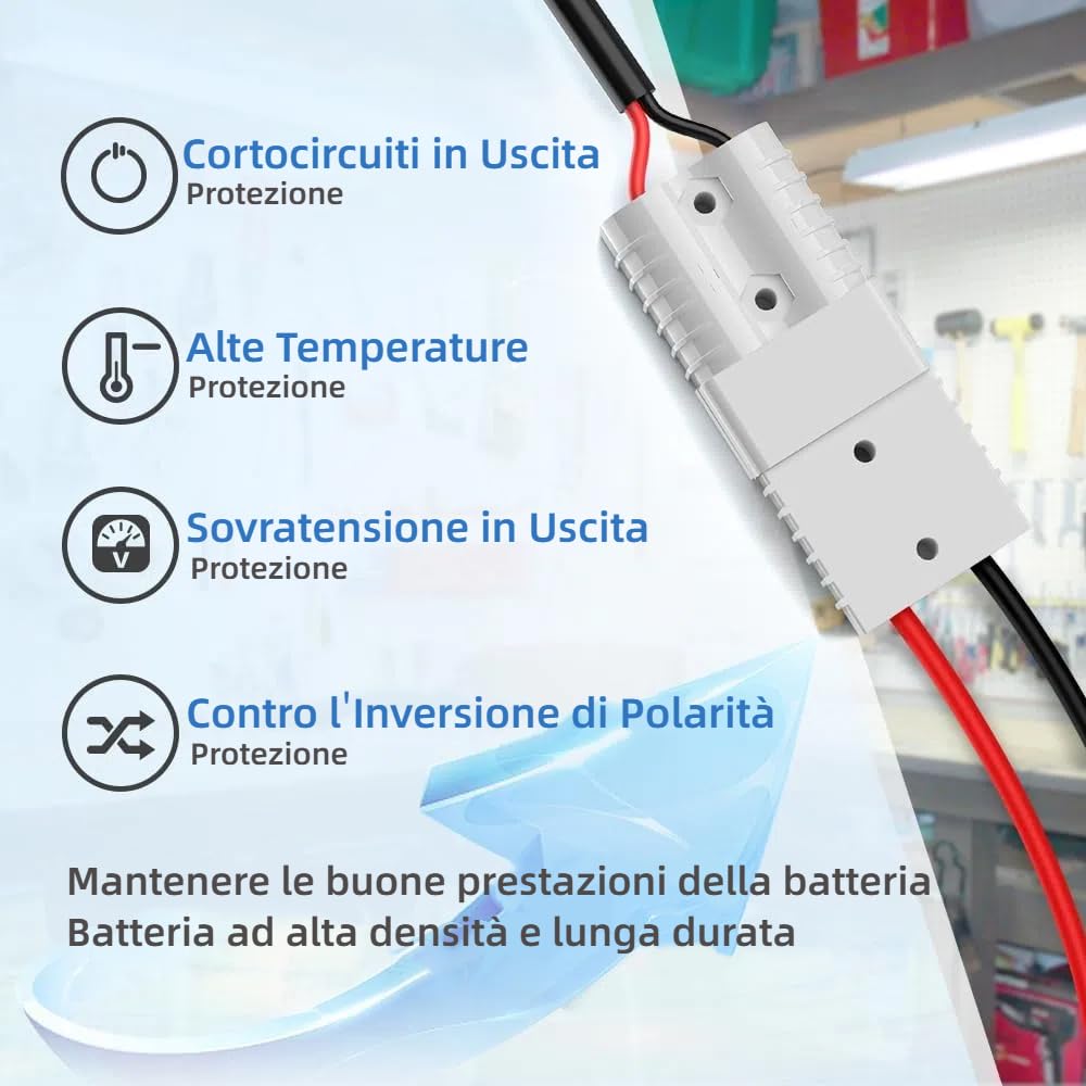 Redodo 14,6V 10A Caricabatterie Lifepo4 per Batterie Litio, Carica Veloce, Alta Efficienza di Carica, Progettato per Caricare Batterie LiFePO4 a Ciclo Profondo
