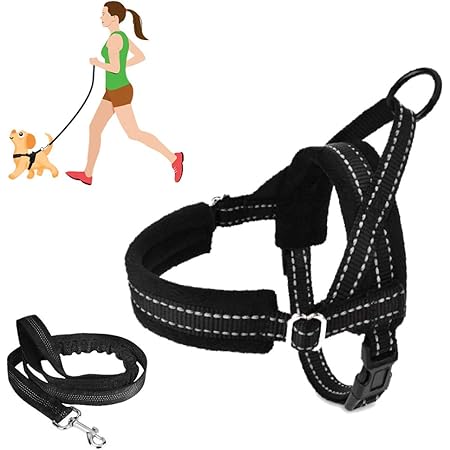 dog collar harness combo