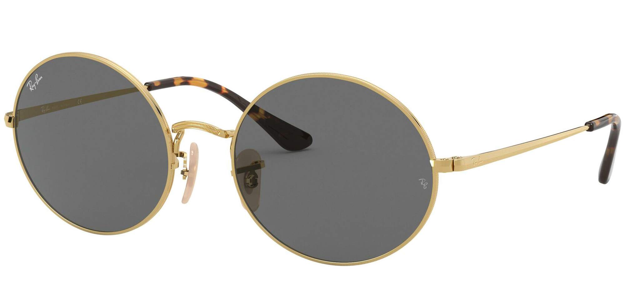 Ray-Ban RB1970 - Gafas de sol fotocromáticas ovaladas Evolve