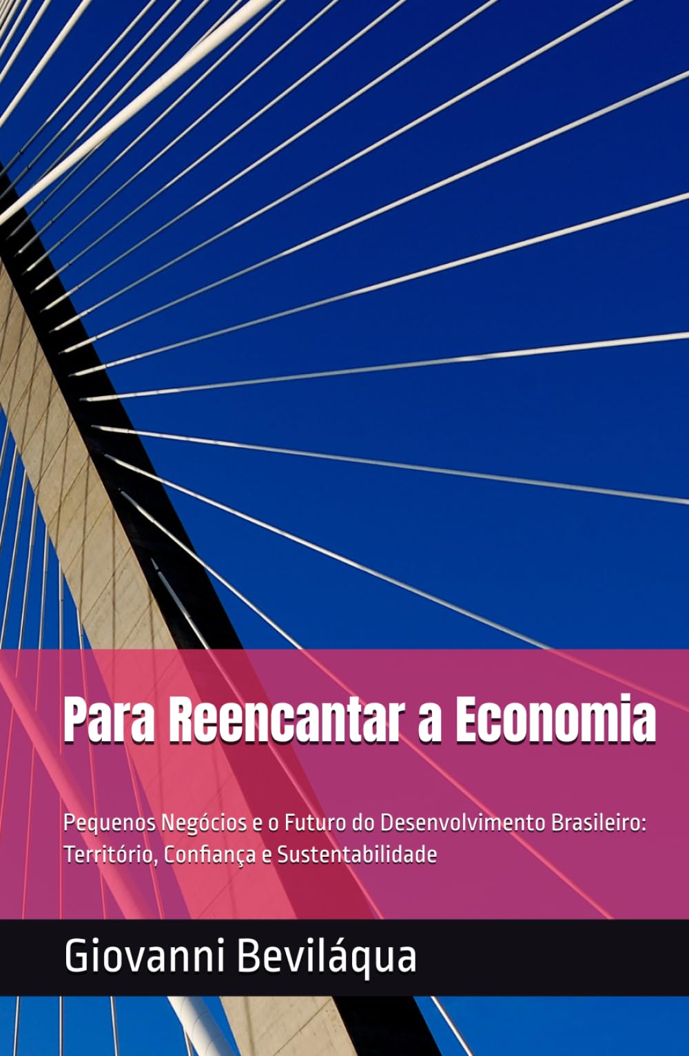 Para Reencantar a Economia: Pequenos Negócios e o Futuro do Desenvolvimento Brasileiro: Território, Confiança e Sustentabilidade (Pequenos Negócios e Desenvolvimento Social e Econômico)