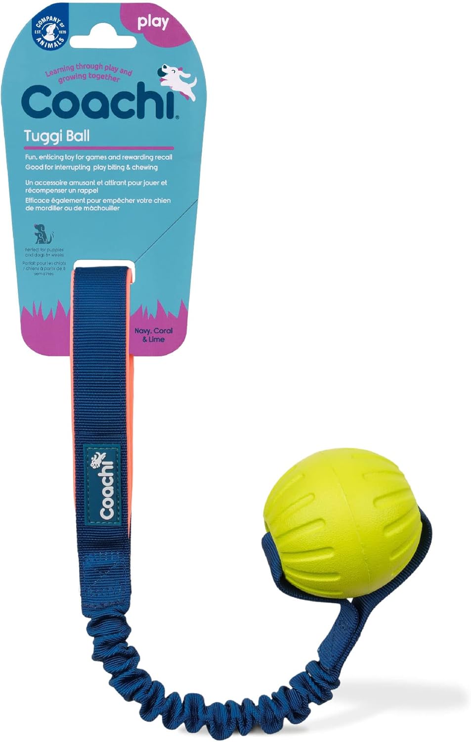 Tuggi Ball Coachi pour Chiens : Test et Avis Complet Agilité
