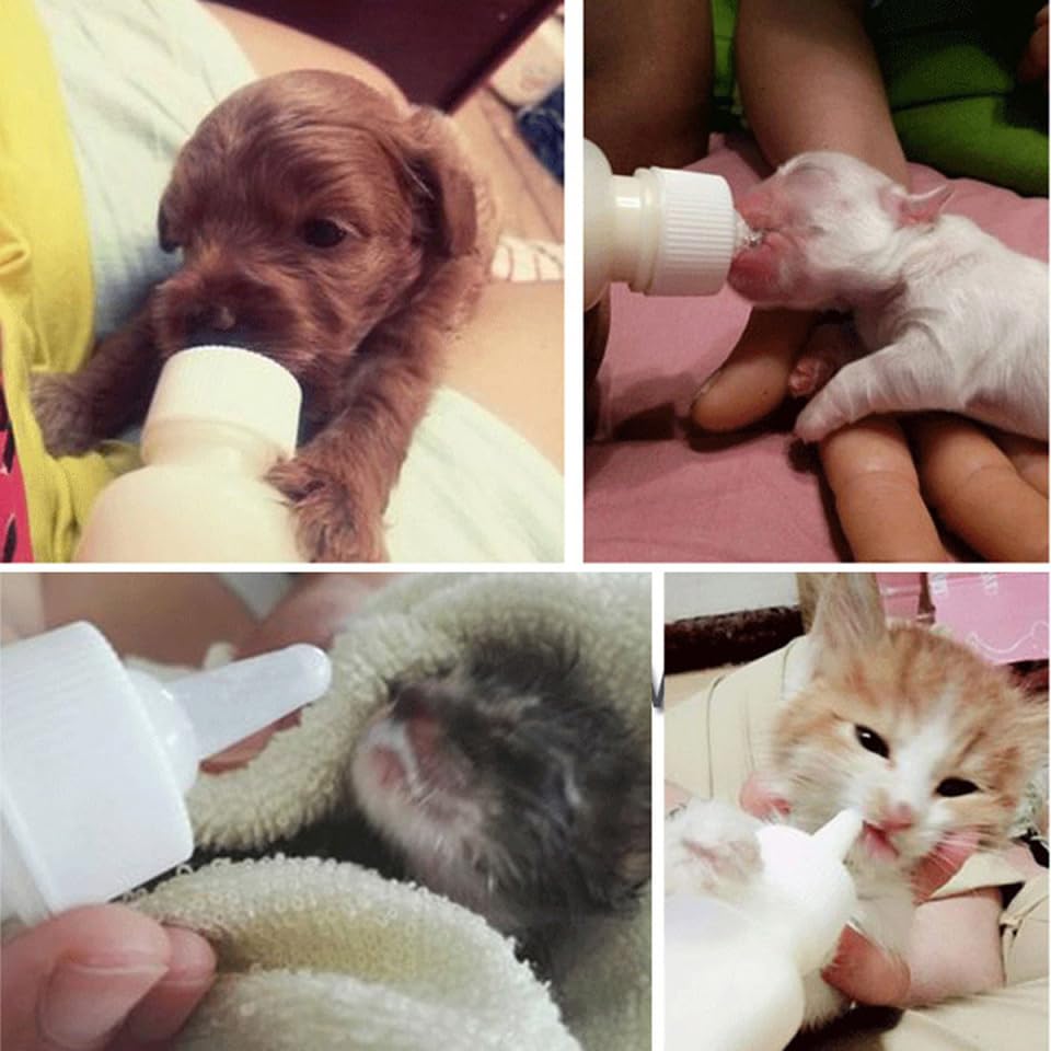 50ML Pet Feeding Bottle Set for Puppies and Kittens