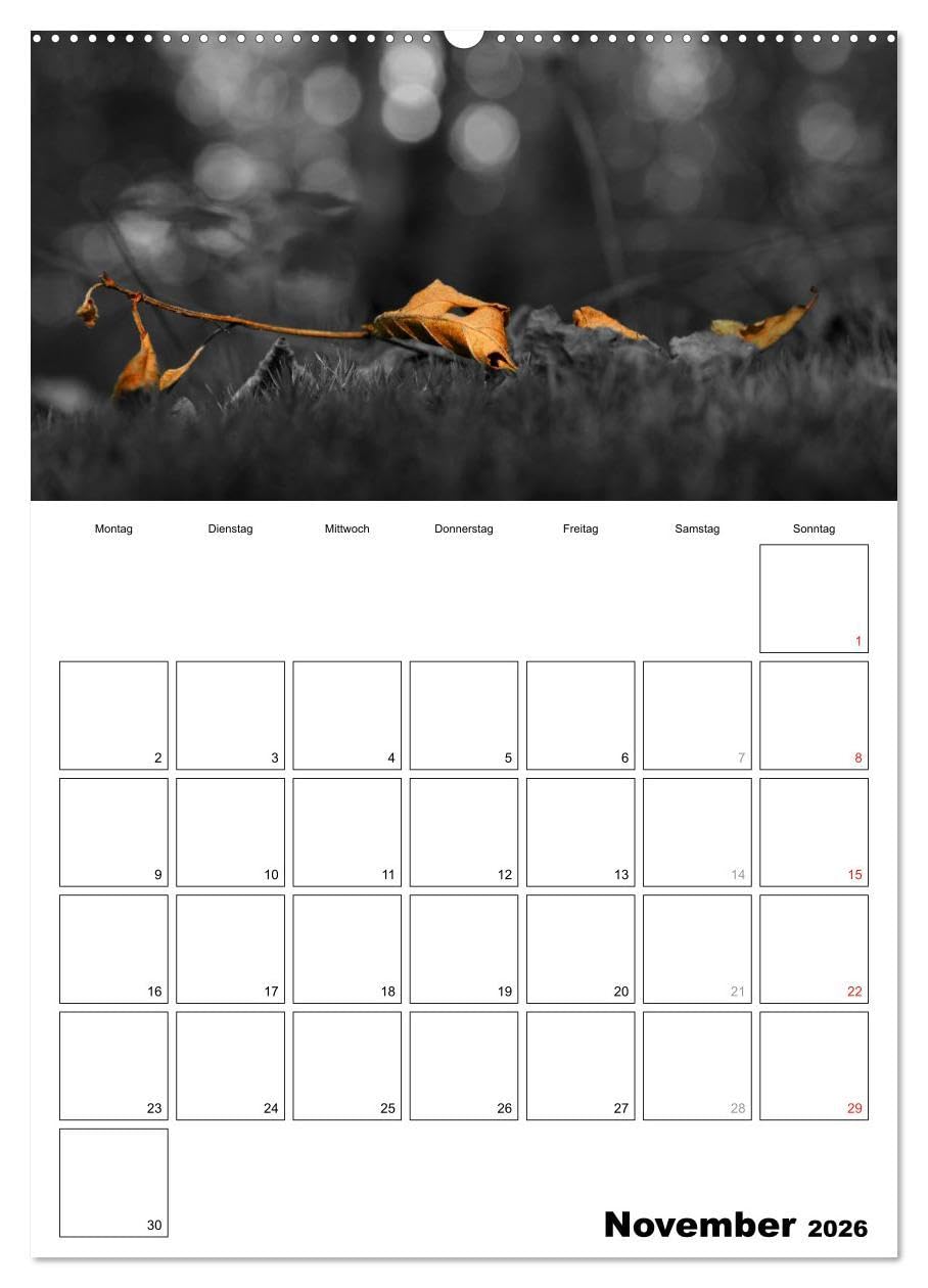schwarz/weiß trifft farbe - DEIN TERMINKALENDER/Planer (hochwertiger Premium Wandkalender 2026 DIN A2 hoch), Kunstdruck in Hochglanz: Ein ... Fotos den besonderen Look (CALVENDO Natur)