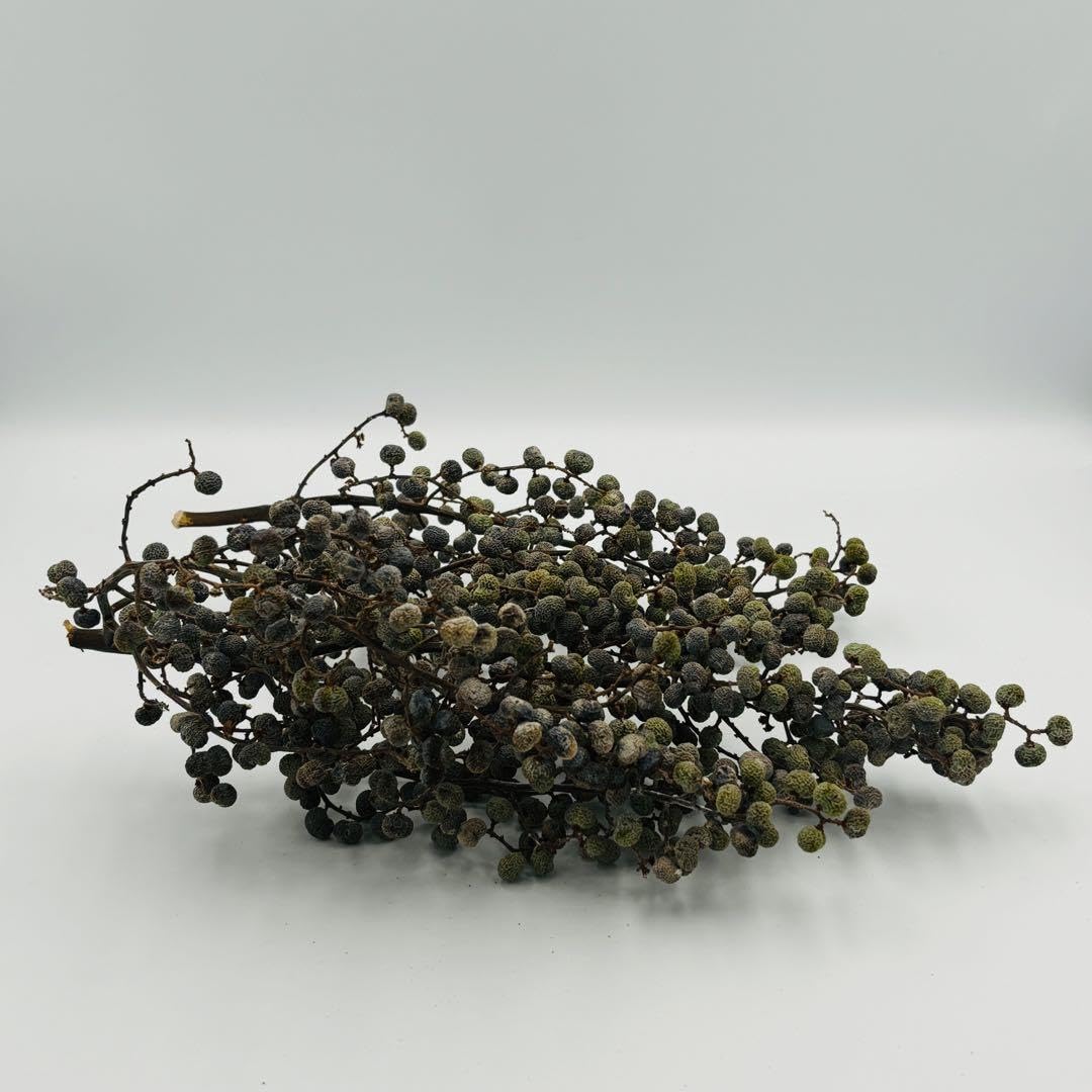 Amazon.co.jp: ドライフラワー シュロの実 2房 16×30 14×22 リース