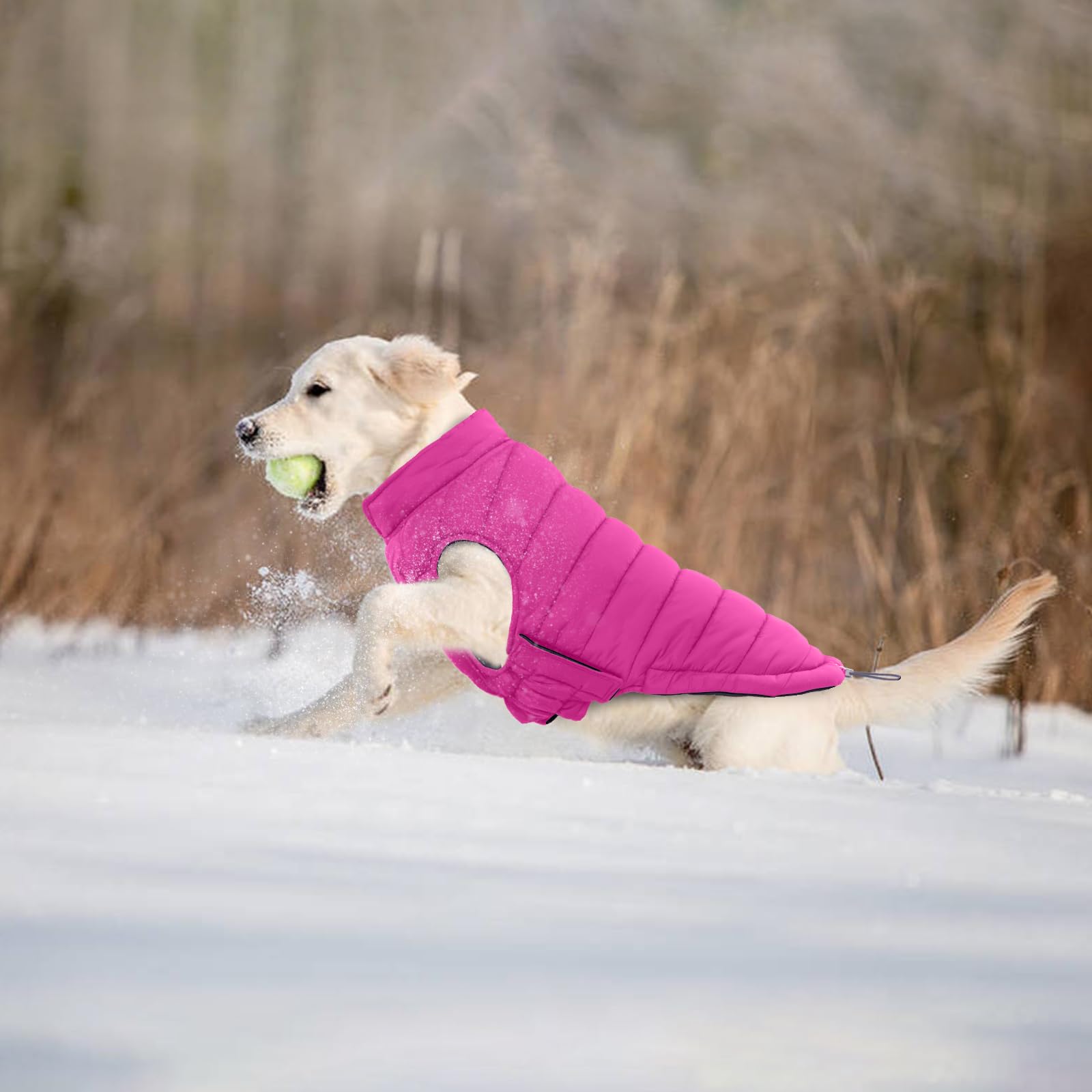 Lelepet Veste matelassée réversible pour chien - Manteau d'hiver chaud rembourré coupe-vent pour chien - Veste d'hiver légère avec crochet et boucle - Manteau pour chiens de petite taille - Shih Tzu