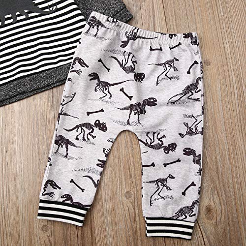 Toddler Infant Baby Boy Girls Clothes Hoodie Fall Winter Sweatsuit Pants Gender Neutral Long Sleeve Outfit Set(Grey-Dinosaur, 2-3 Years) #TOP4