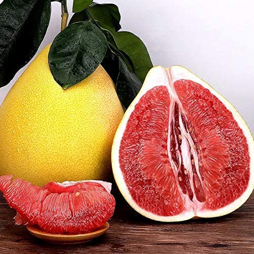 Fresh Yellow Pomelo Grapefruit Set of 2 Count Red Endocarp (Red flesh fruit)