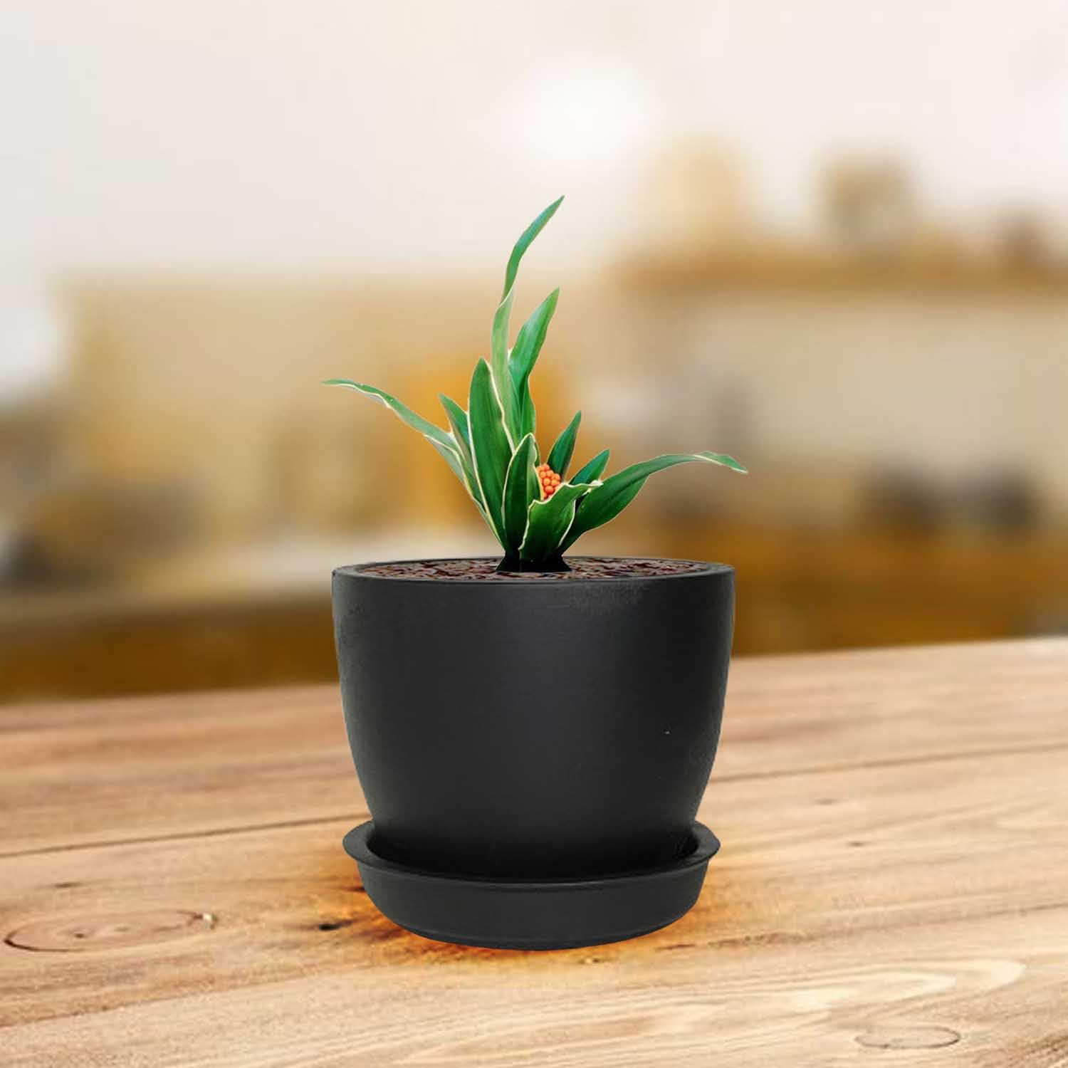Lasaki Core with Plate Black Ceramic Pots for Indoor Plants