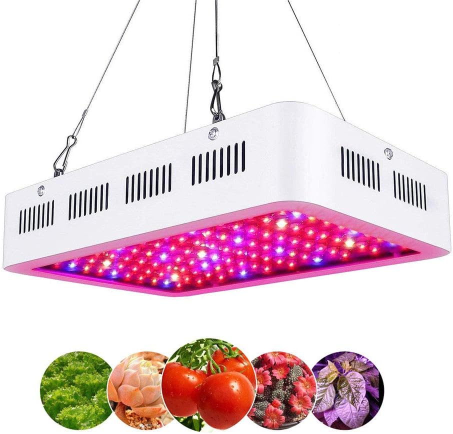 luci idroponiche per piante d'appartamento