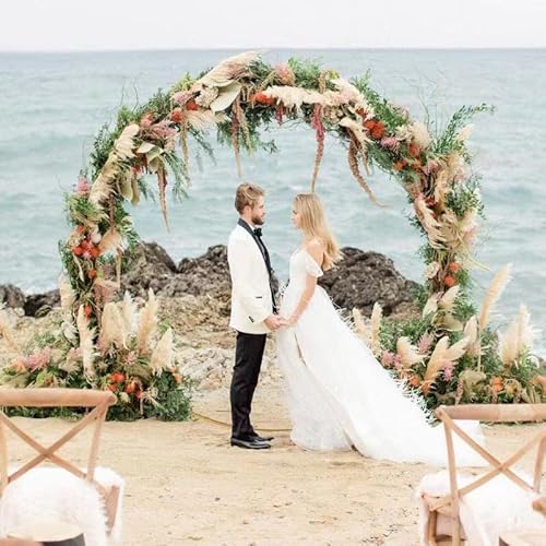 Balloon Arch Stand,Easy Assembly Round Backdrop Stand,6.6Ft Circle With Bases Wedding Arch,Circle Backdrop Stand,Metal Circle Balloon Arch Frame For Bridal,Birthday Party Decoration…… #TOP1