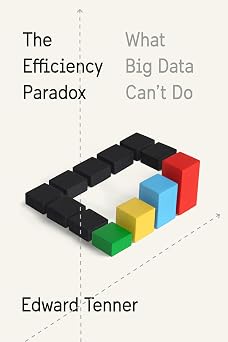 The Efficiency Paradox What Big Data Cant Do