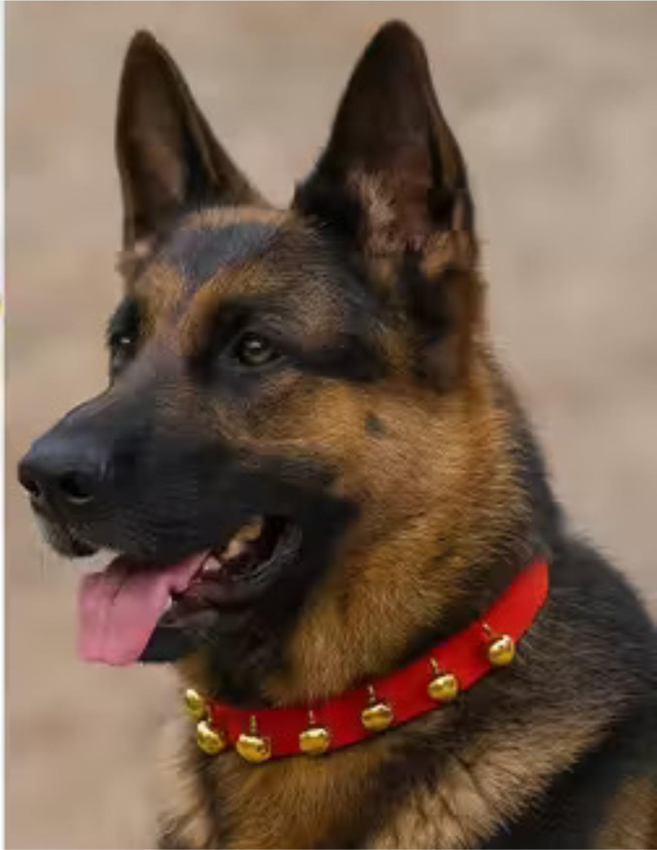 red nylon dog collar with golden bells for large dogs | jingle bell design, adjustable fit, festive style, durable nylon band, suitable for all breeds