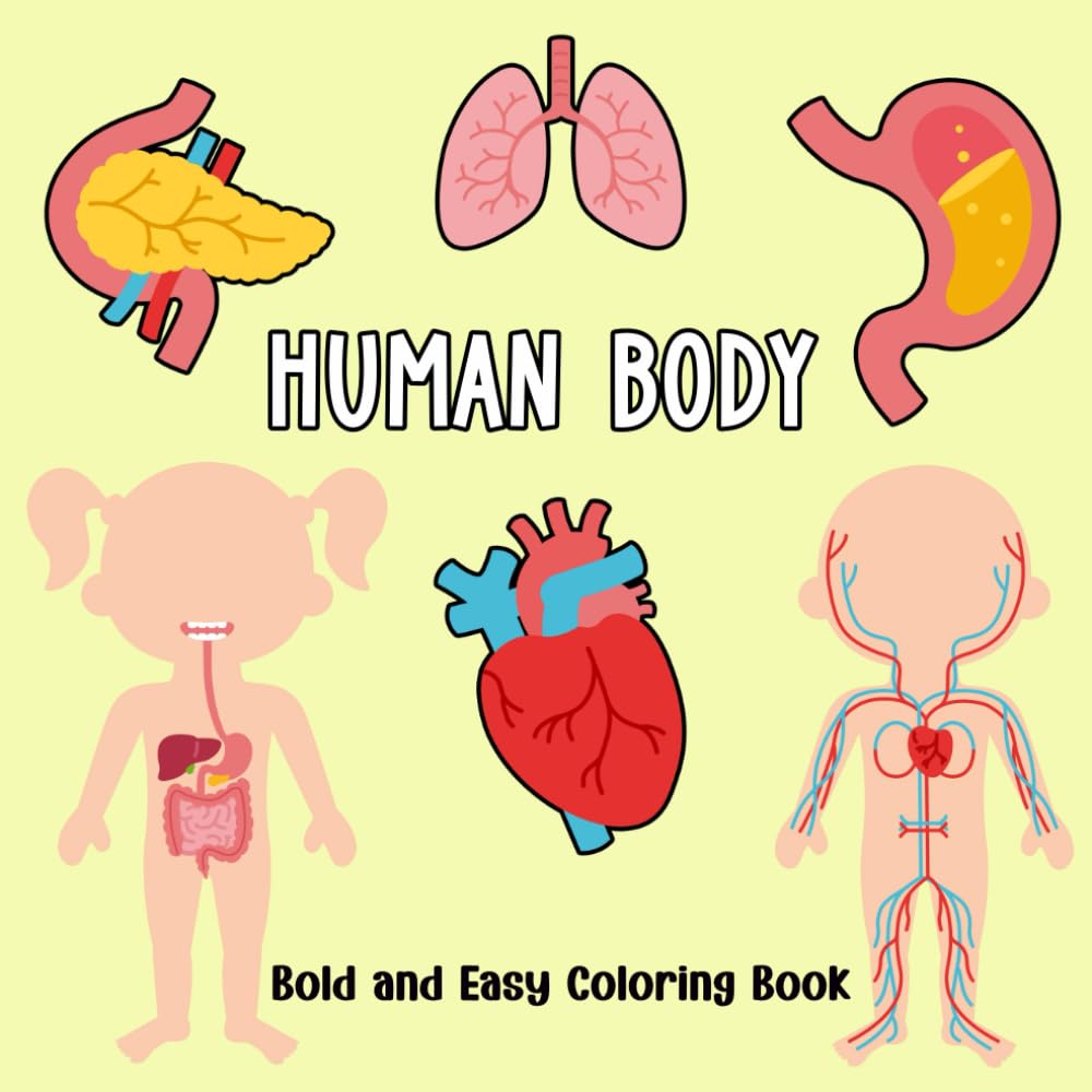 Human Body Bold and Easy Coloring Book: Simple and Big Anatomy Illustrations to Color for Kids, Seniors and Beginners