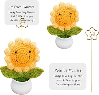 Liuer Porte Bonheur Fleurs, Cadeau De Courage Femme Cadeau Amie Cadeaux De Motivation Femme Cadeaux D'encouragement Cadeau Persévérance Cadeaux d'encouragement pour Collègues (C)