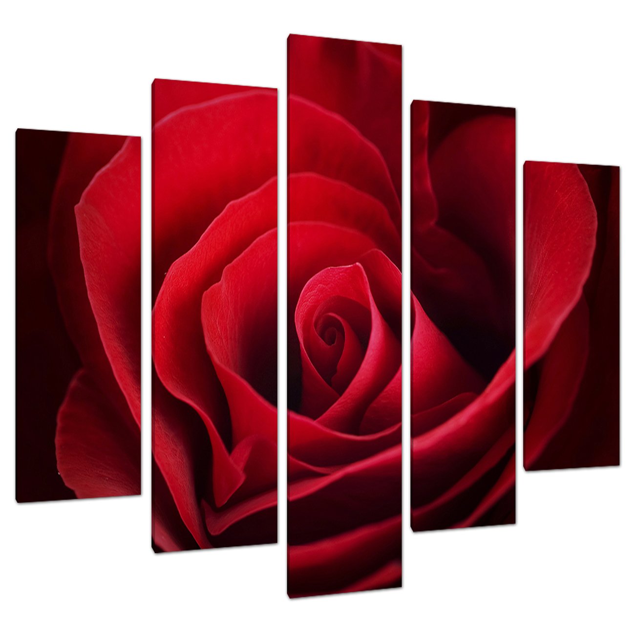 Wallfillers Red Extra Large Rose Flower Canvas Prints Uk - Floral Wall Art - Set Of Five Part Canvases - 5044