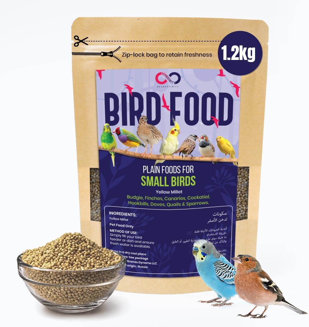 Brandsfinity 1.2kg Plain Food for Small Birds, 100% Yellow Millet Seeds, Ideal for Budgies, Canaries, Love Birds, Zebra Finches, Easy-to-Serve Bird Feed for Bird Feeders and Outdoor Bird Houses
