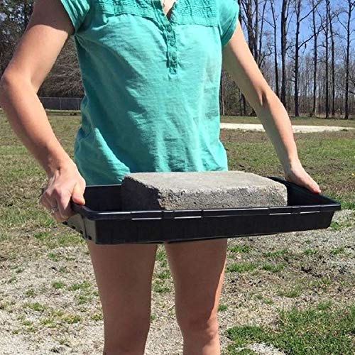 Bootstrap Farmer 1020 Trays - Extra Strength No Holes, 5 Pack, For Propagation Seed Starter, Plant Germination, Seedling Flat, Fodder, Microgreens #TOP1