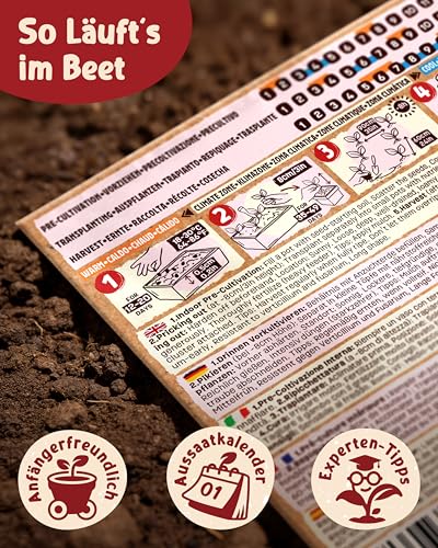 ZenGreens® - Bio Tomatensamen im 10er Set - 10 Tomaten Samen für den einfachen Anbau im Garten, Balkon oder Hochbeet - Pflanzensamen - Saatgut