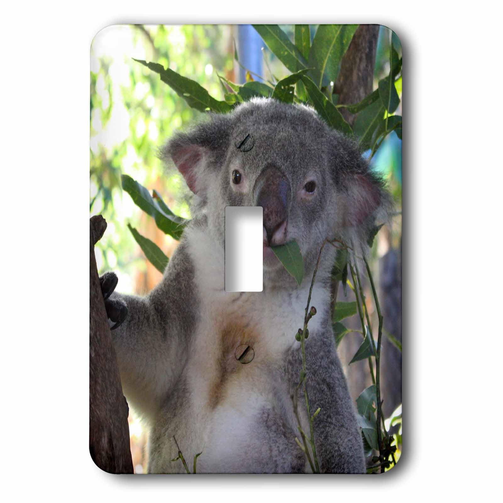 Interrupteur Koala d'Australie 3dRose lsp_22800_1 avec finition artistique durable
